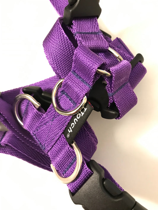 Ttouch Harness